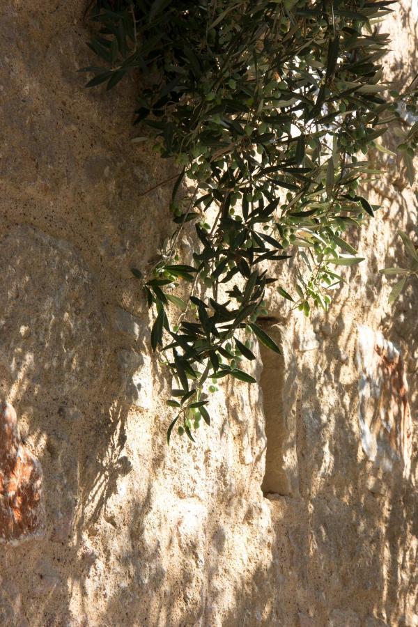 Orfea's Place Apartment Riglia