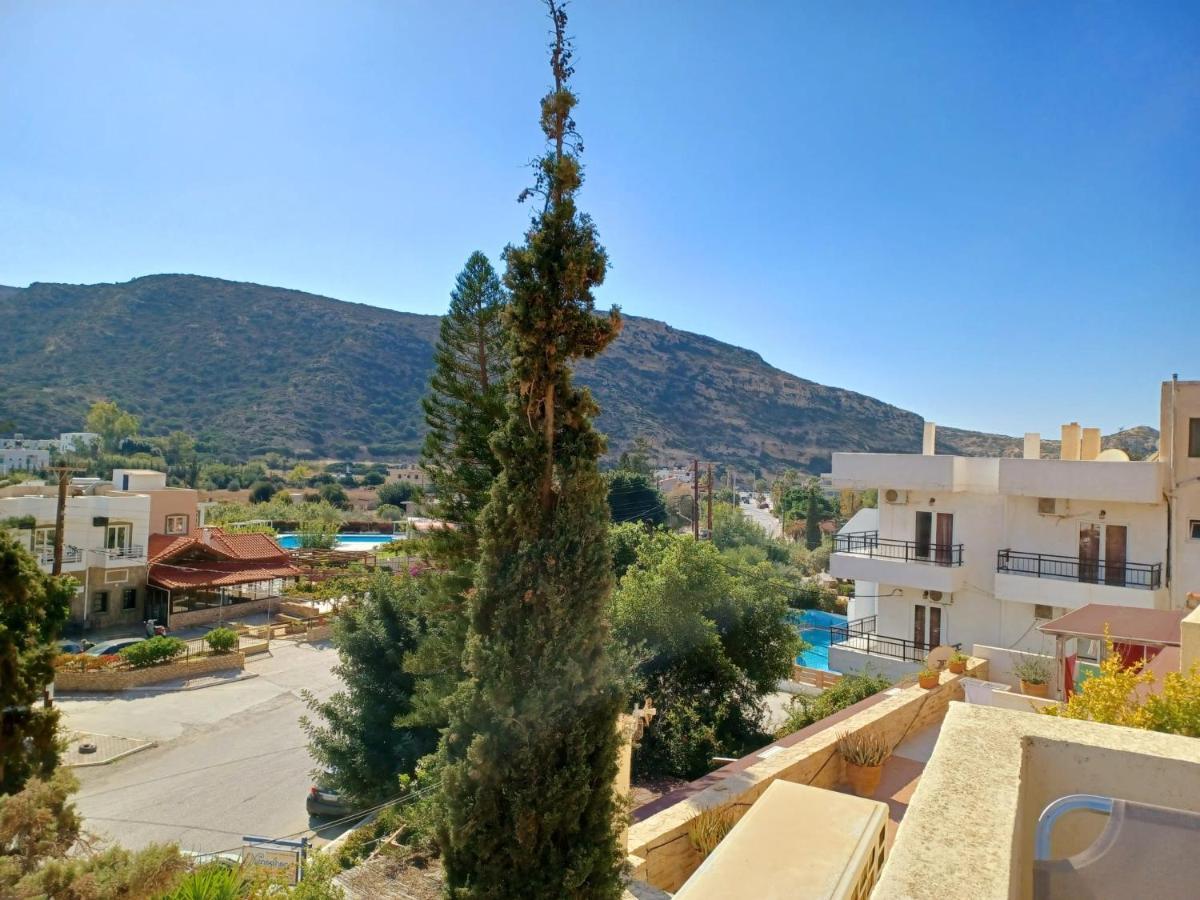 And Xenophon Apartment *