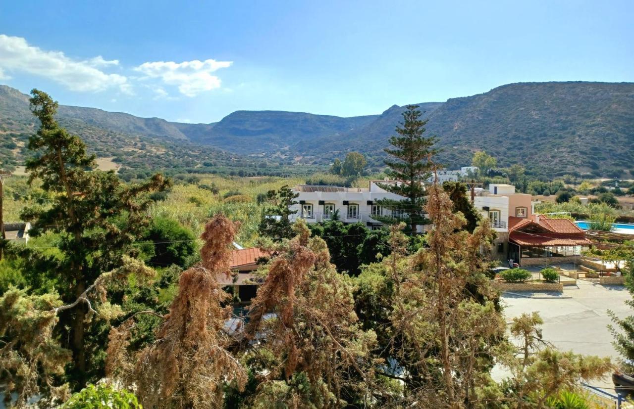 Apartment And Xenophon