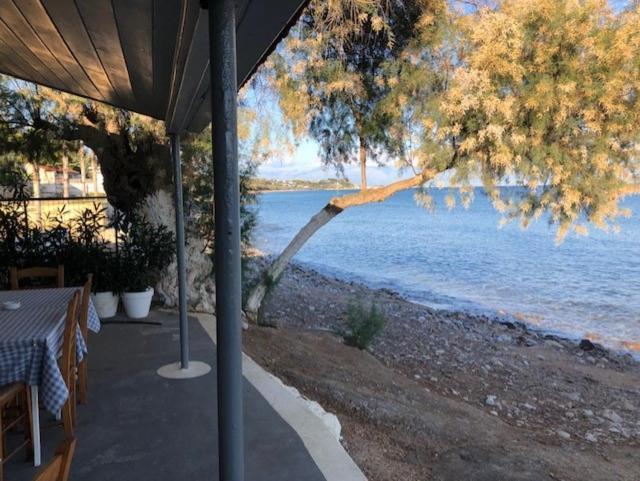 Peony Holiday home Koroni (Messinia)