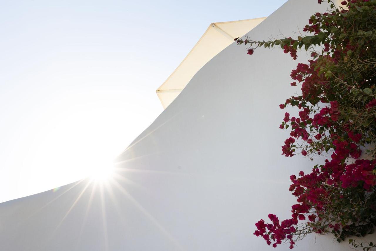 Apartment Ploes Seaside *