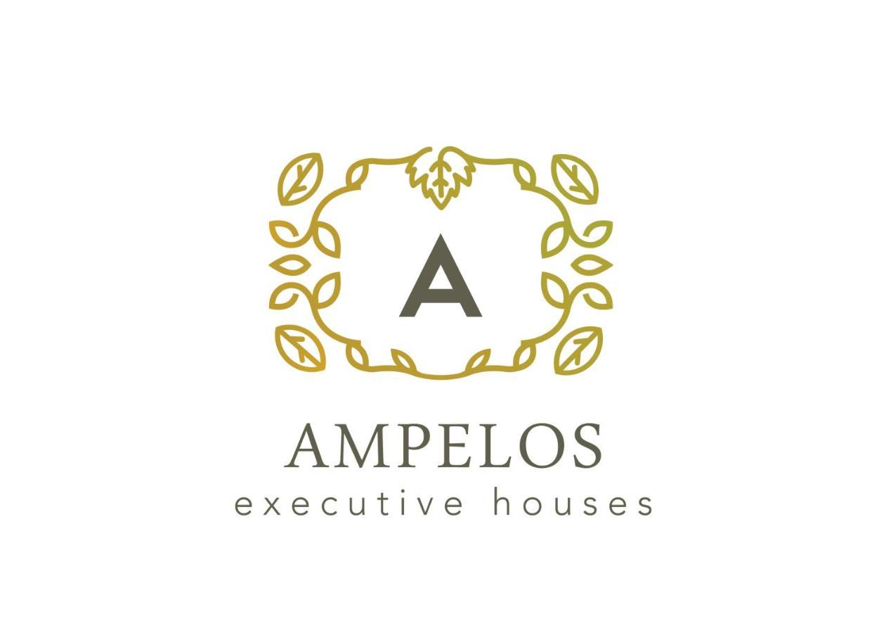 Ampelonas Executive Houses Apartment Pyrgos Kallistis