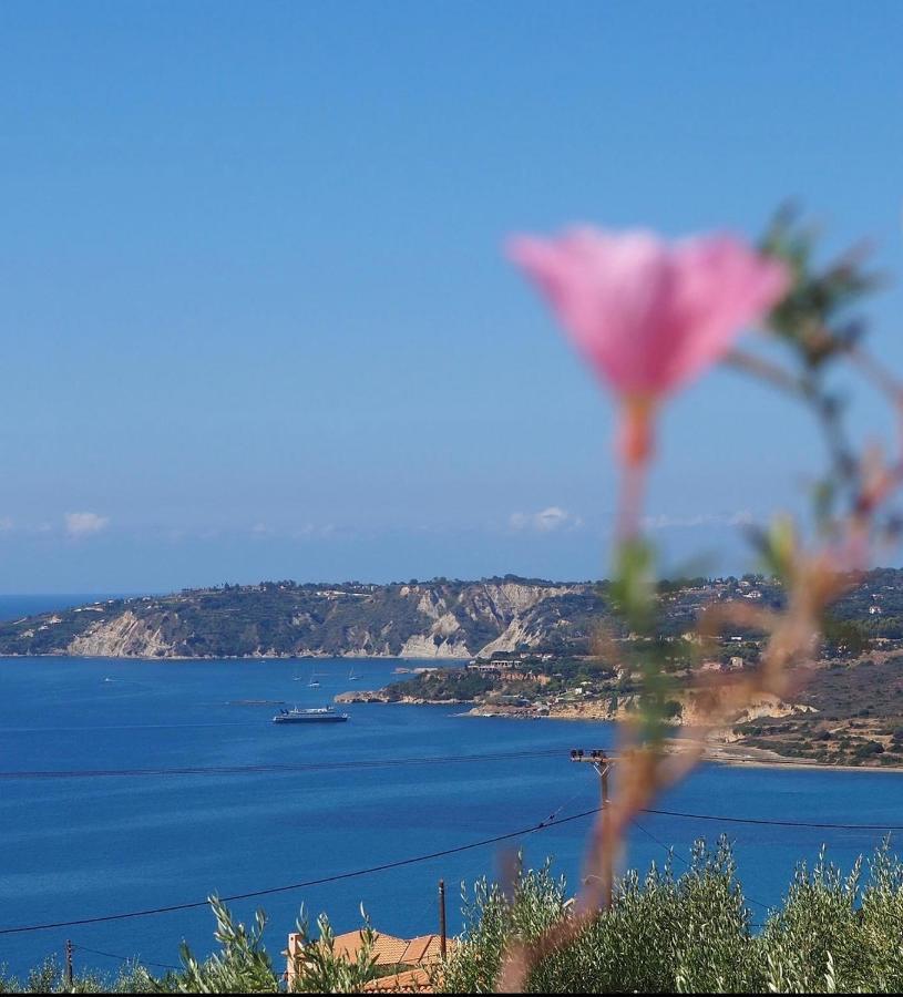 Spyridoula Aparthotel Lourdata (Kefalonia)