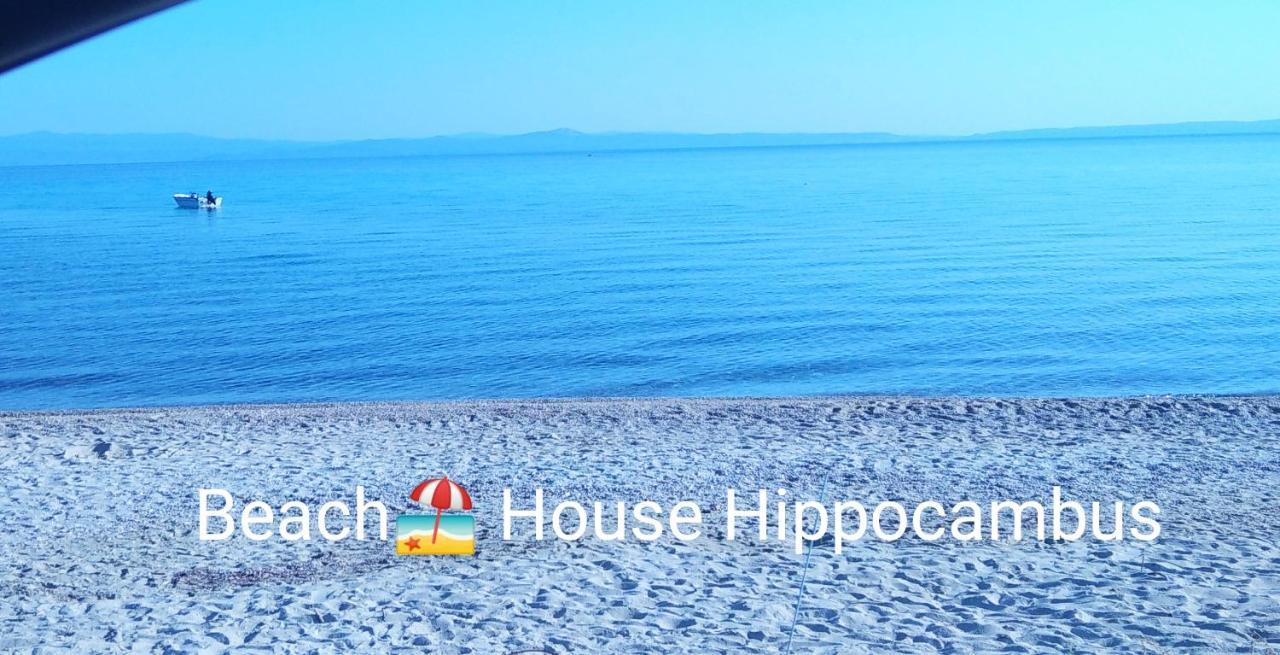 Hippocampus House Polychrono
