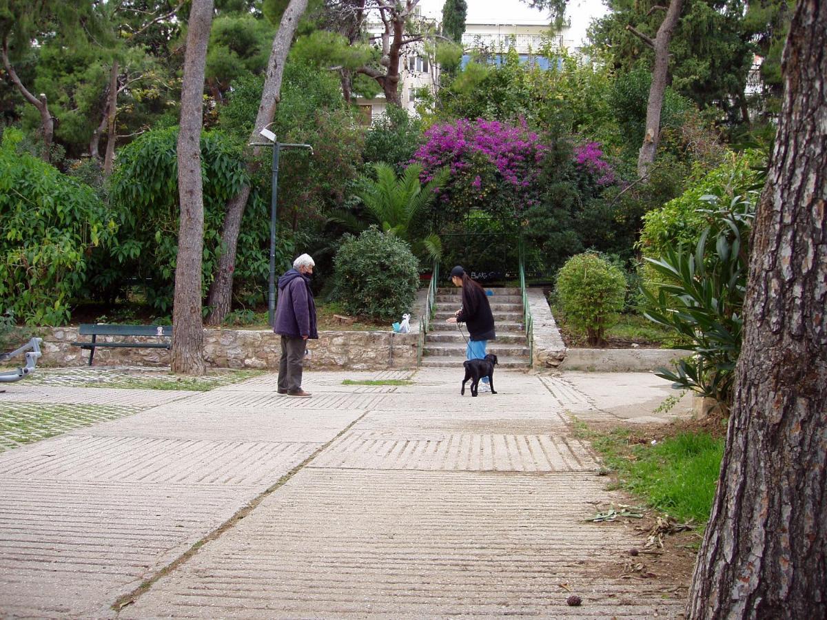 Homestay Work Or Vacation In Shared Athens