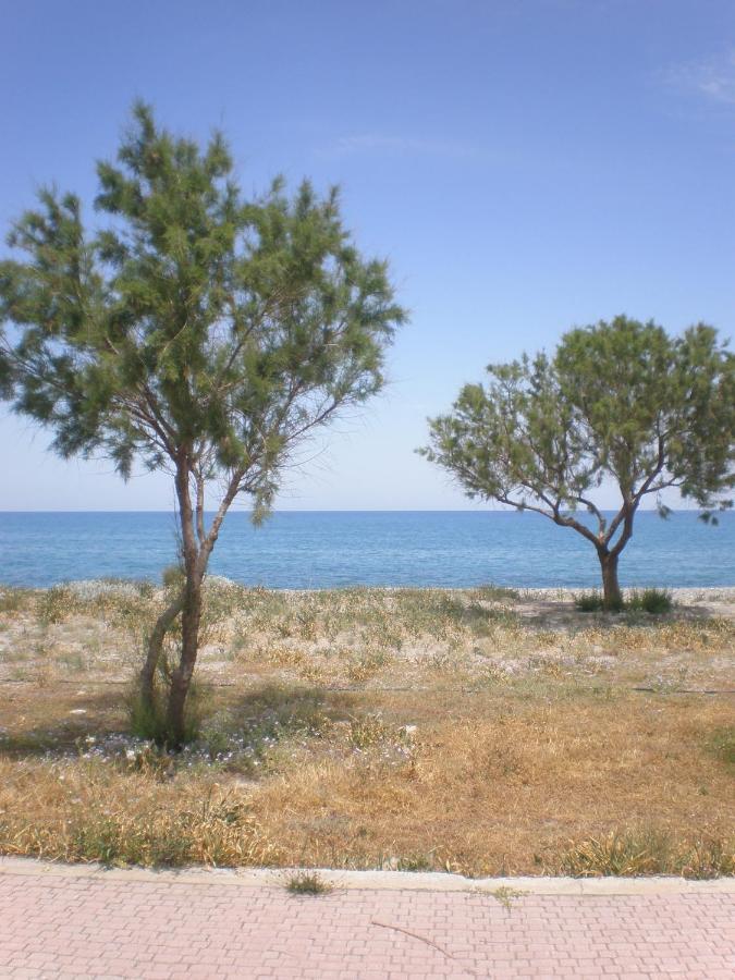 Summer Guest house 2*