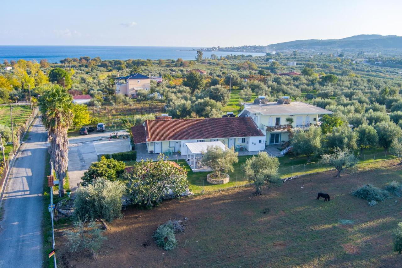 Anastasios Olive Garden Apartment