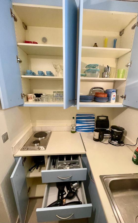 Apartment Karmi Andros Stenies