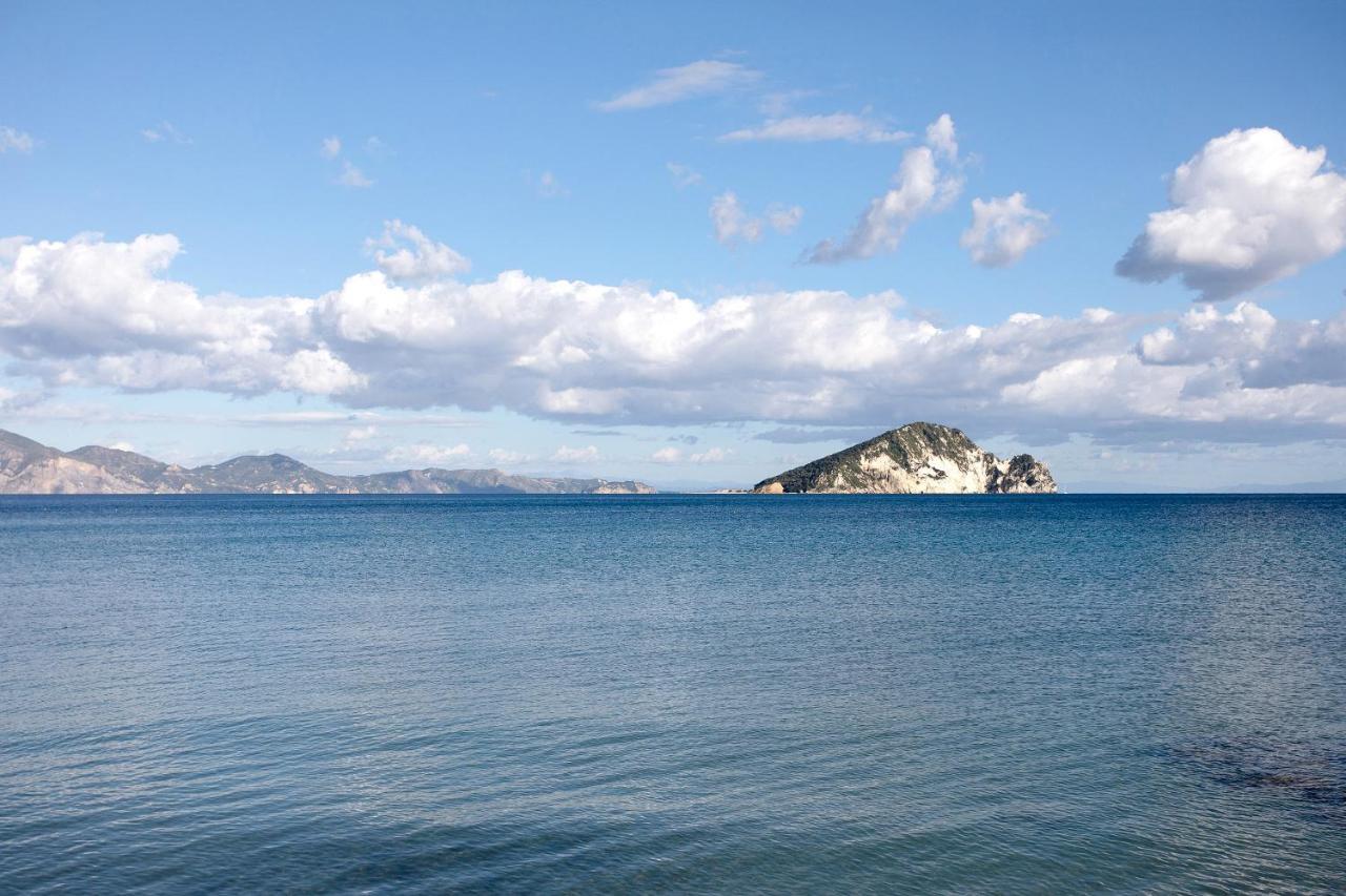 Apartment Dolphin Sea View 9 *