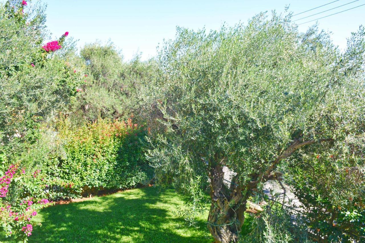 Pebbles And Sea At With Shared Pool Apartment Barbati