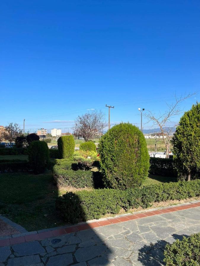 Light Blue Apartment Peraia (Thessaloniki)