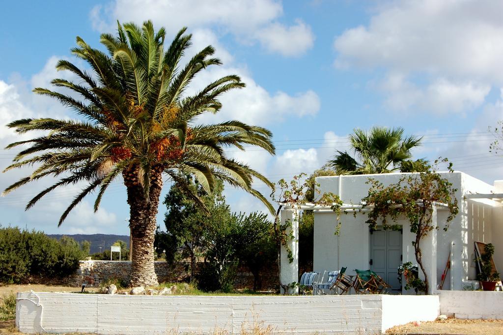 Aparthotel Scala Kastraki (Naxos)