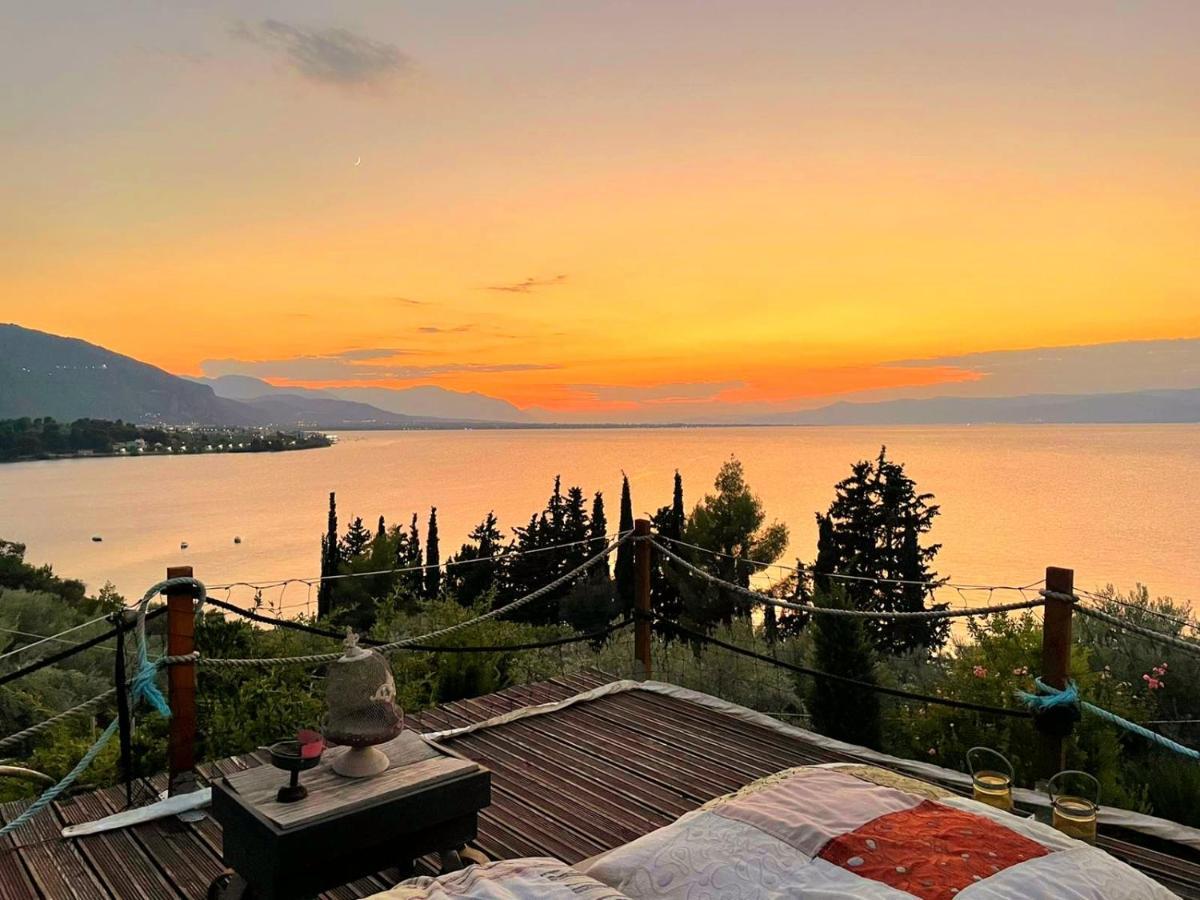 Magical View, Asproneri, *