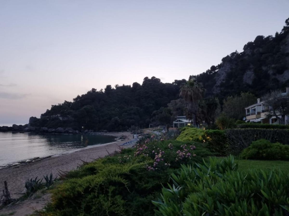 Corfu Dream Holidays Standart