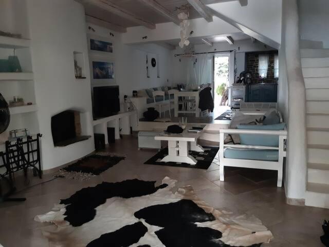 Villa Mykonos Agioi Theodoroi