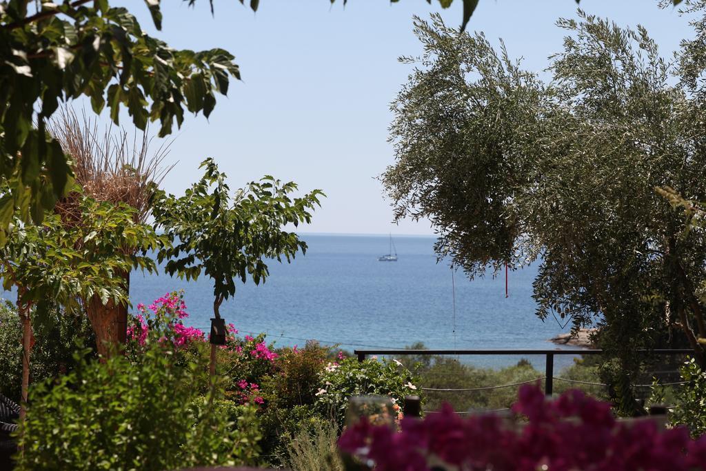 Iva In Aghios Aimilianos * Ermionida