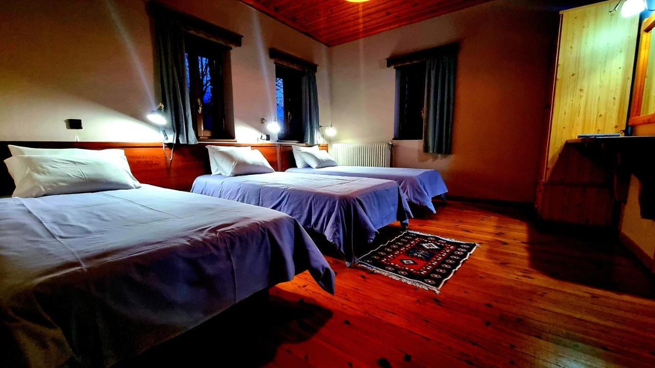 Hotel Vikos View Aristi