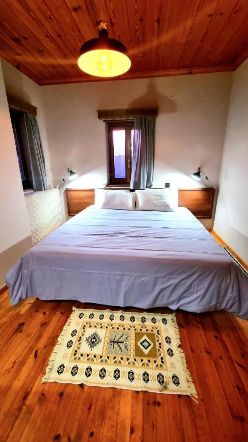 Hotel Vikos View Aristi