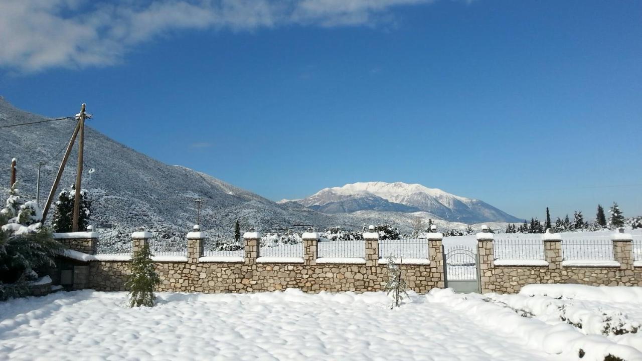 Homestay Xenios Petritis *