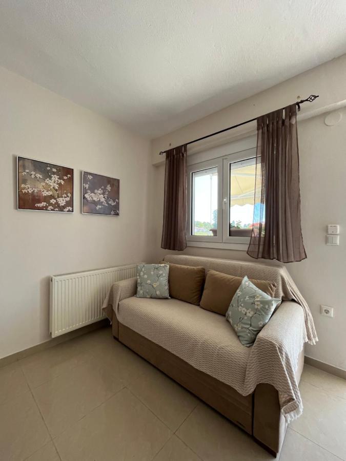 Olympian Luxury Apartment Leptokarya (Pieria)