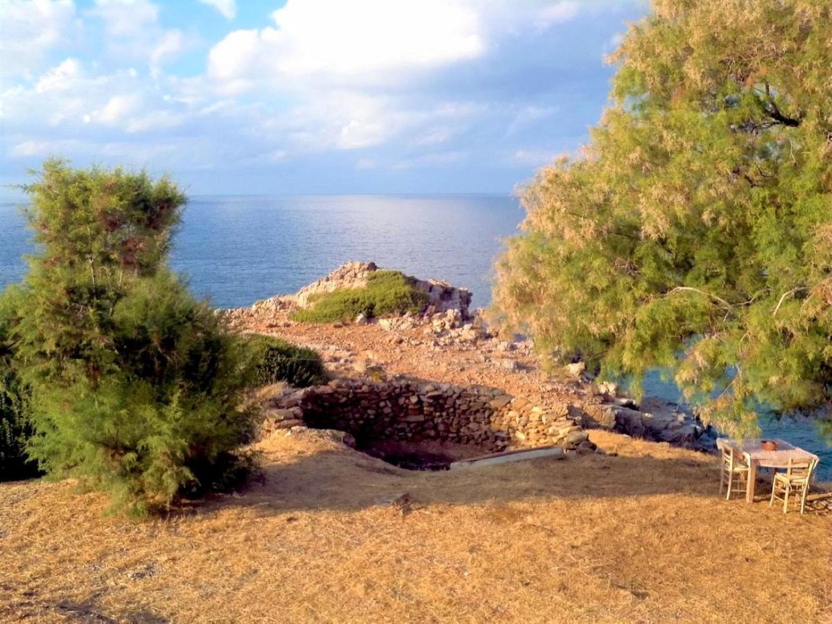 Rodialos * Panormos (Crete)
