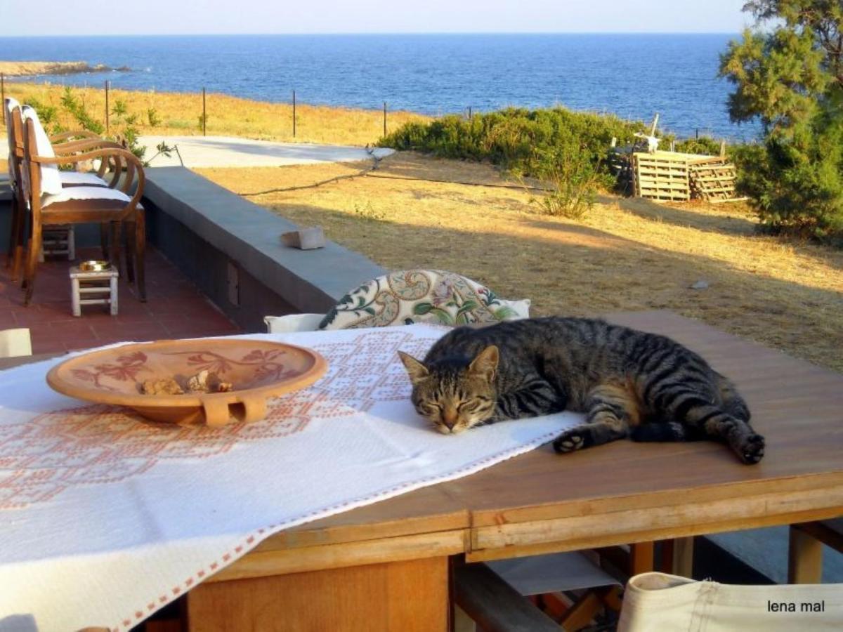 Rodialos * Panormos (Crete)