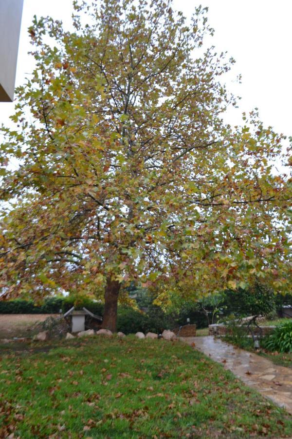 Apartment Platanus Gardenhouse