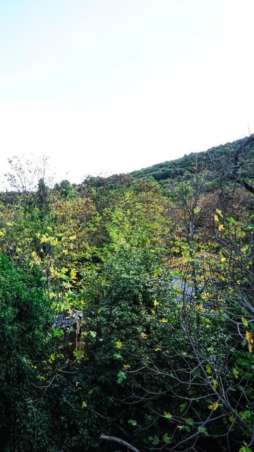 Dandyvillas-vintage House-pelion-argalasti-kallithea