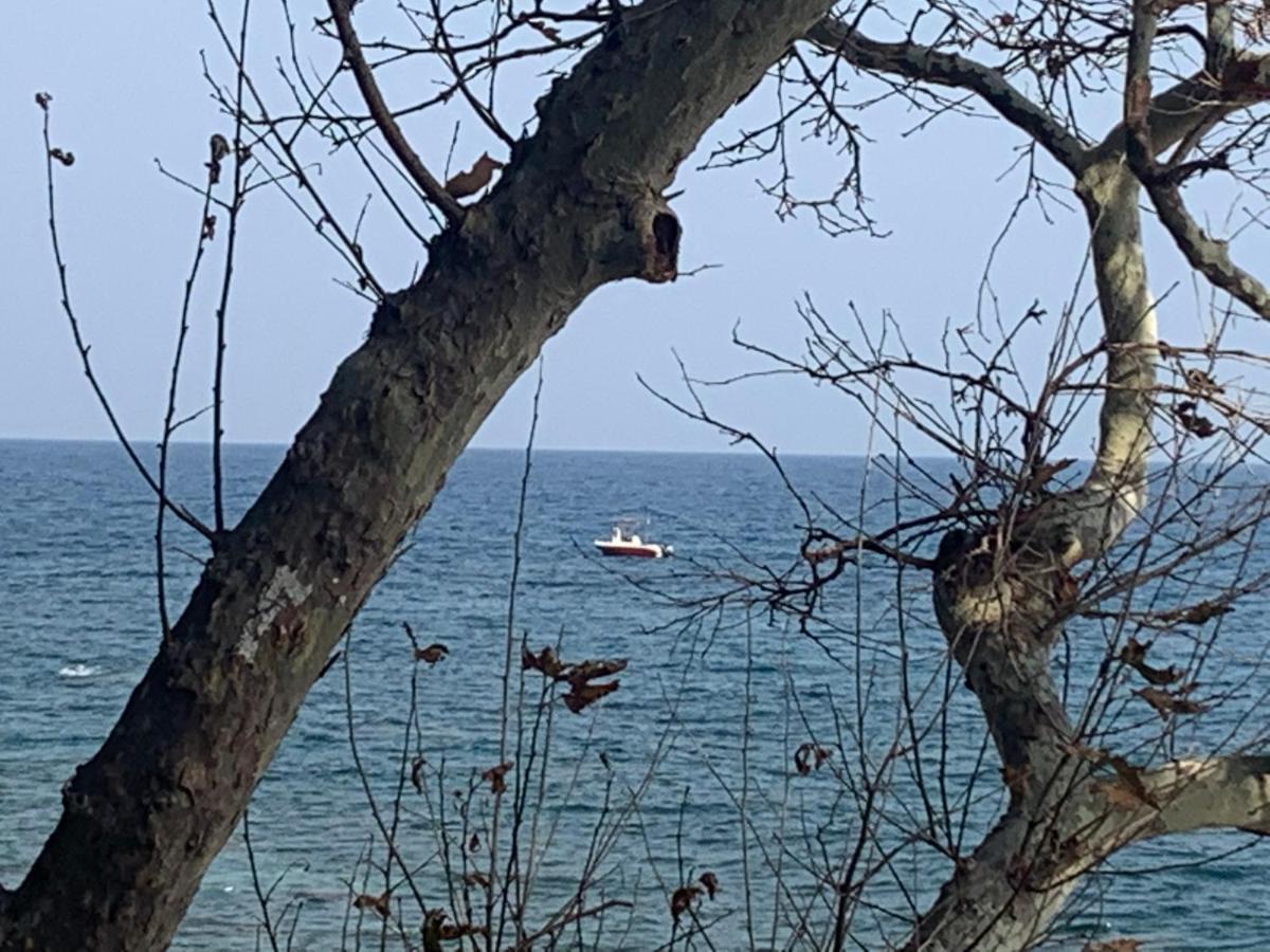 Pelion 7 Lives Holiday home Tsagarada