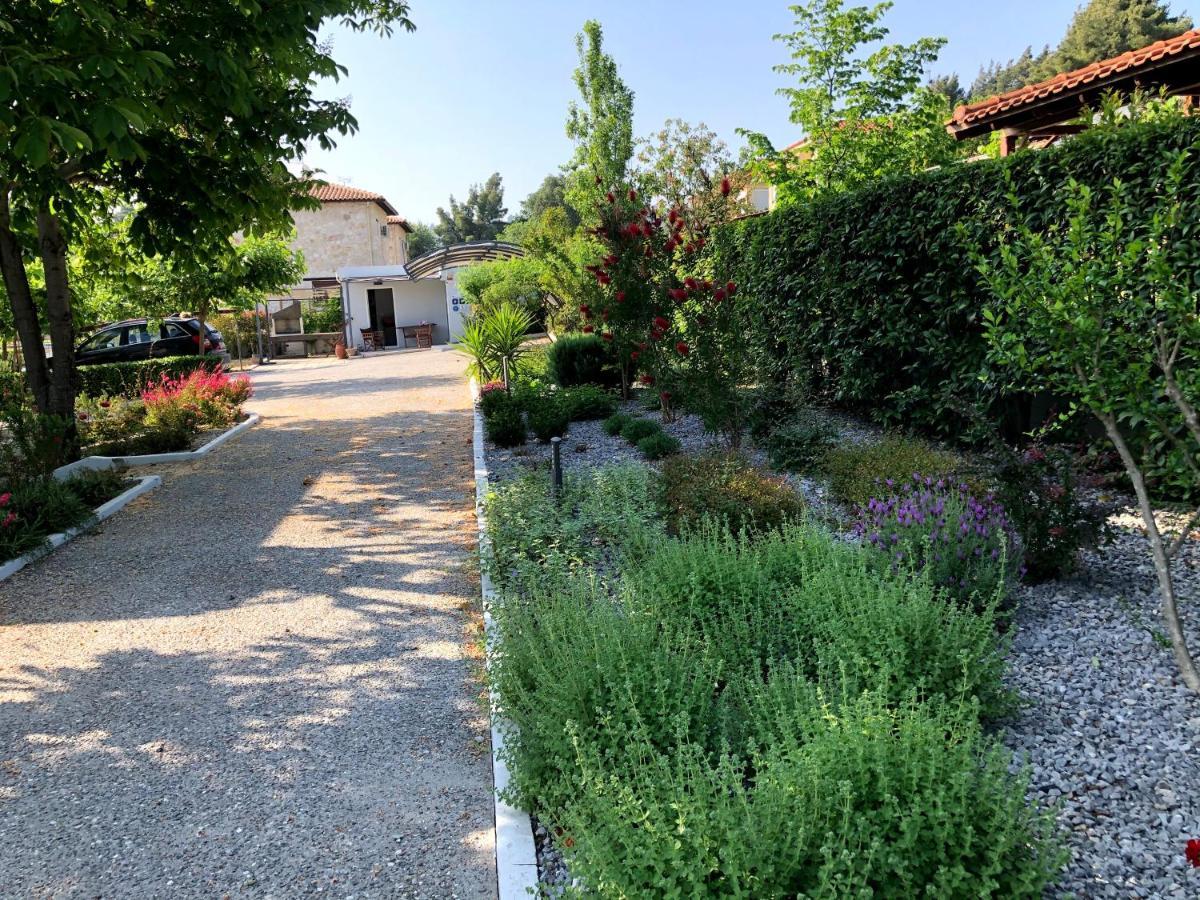 Villa Pleiades Boutique *