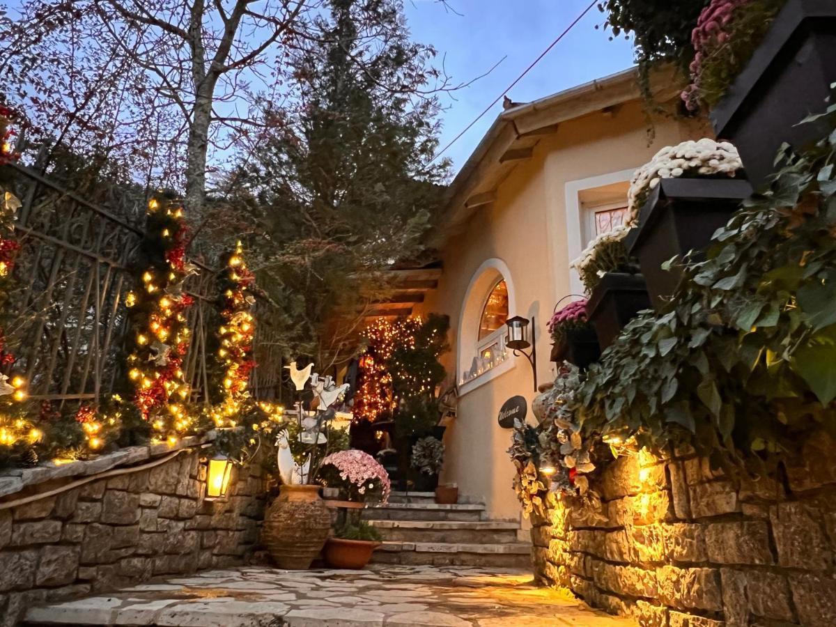Anerada & - Pet Friendly Guest house Mega Chorio
