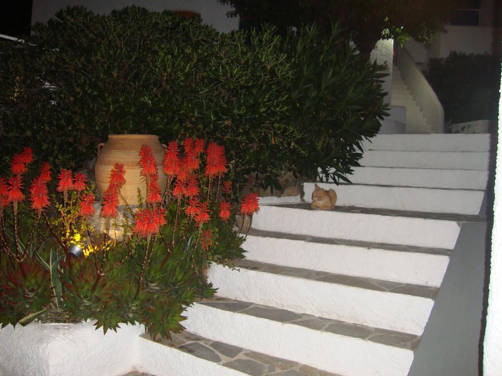 Apartment Aegean - & Masouri