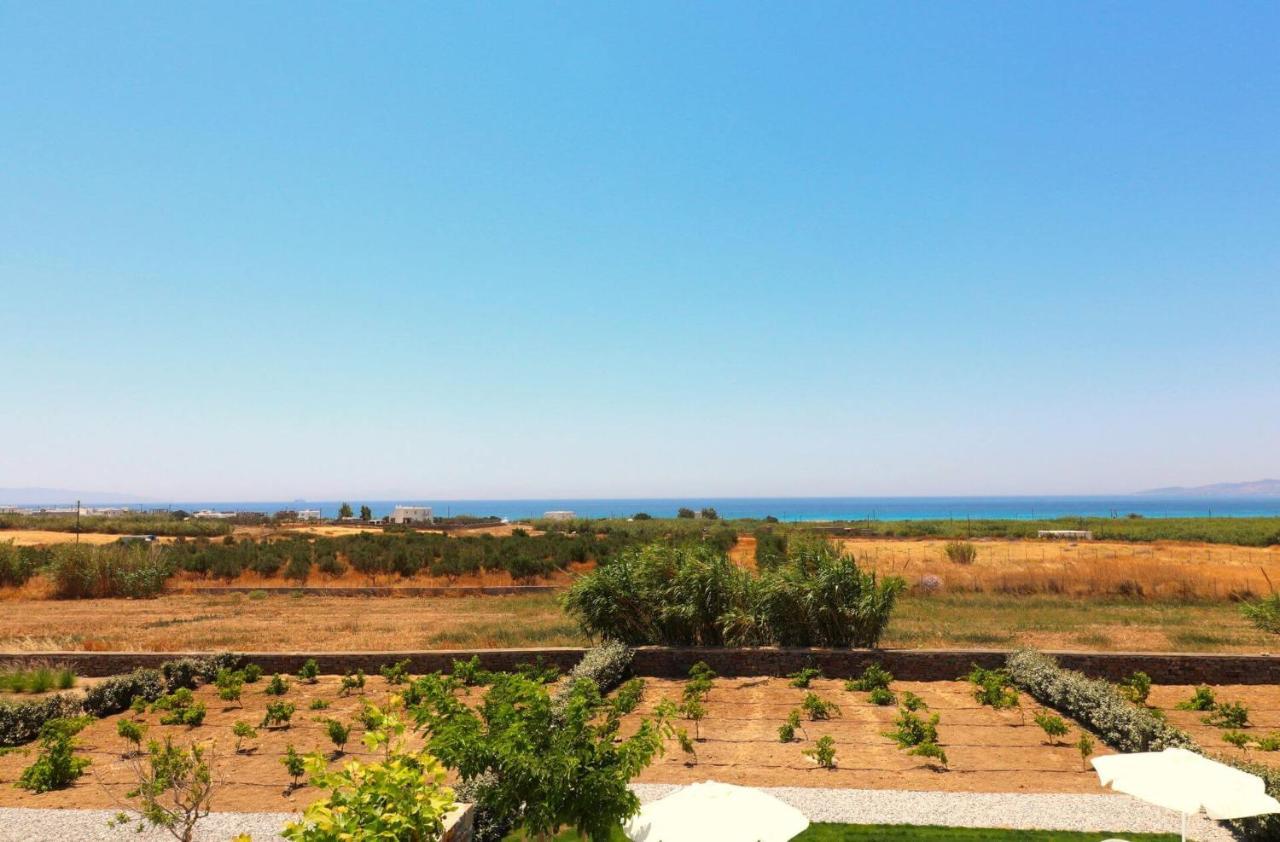 Villa The Nine Graces - Kastraki With Private Swimming Pool *