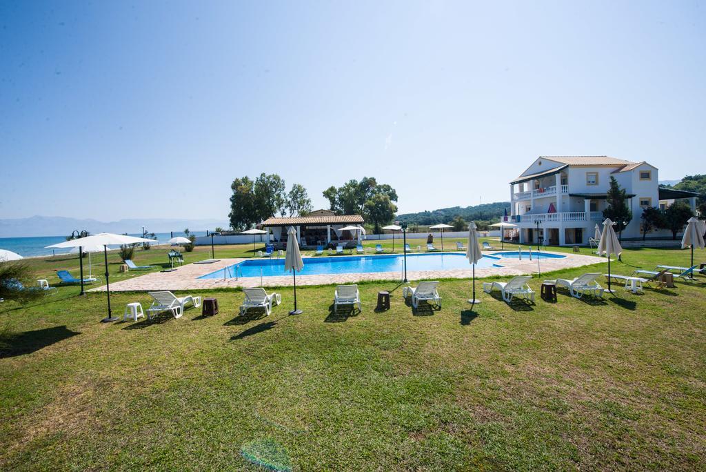 Corfu Sea Palm *