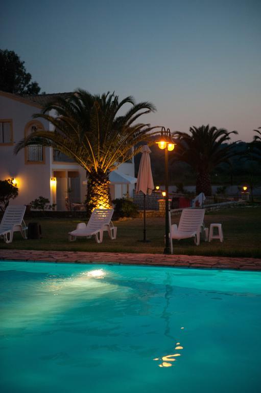 Corfu Sea Palm * Roda (Corfu)