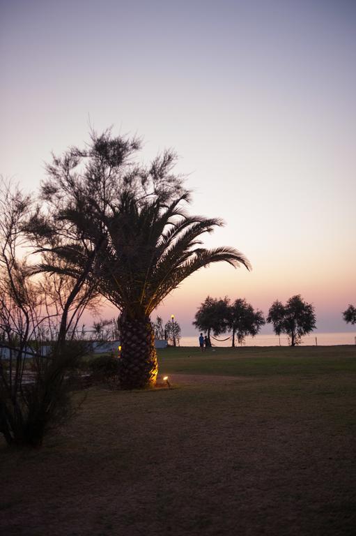 Corfu Sea Palm Roda (Corfu)