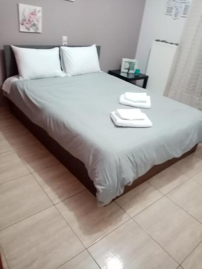 ρετιρέ με θέα Apartment *