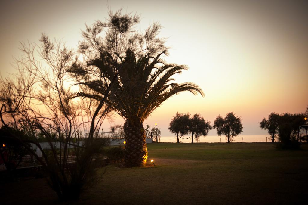 Corfu Sea Palm Apartment *