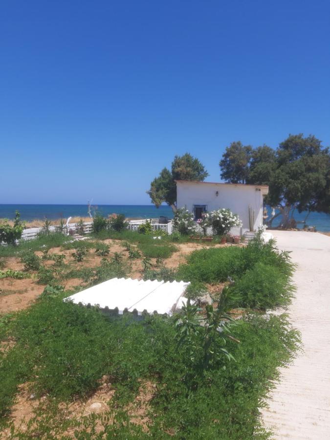 Apartment Maria Cozy 30m From The Sea Pigianos Kampos (Crete)