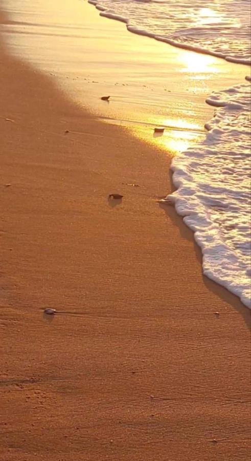 Maria Cozy 30m From The Sea * Pigianos Kampos (Crete)