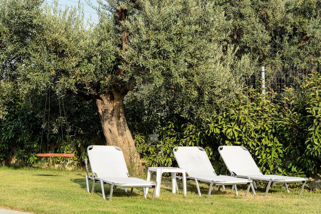 Almira Luxury Ouranoupoli