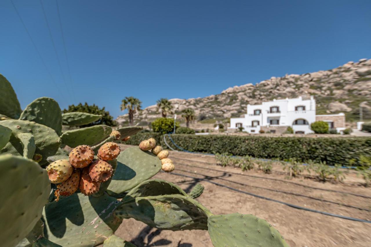 Zefyros 3* Plaka (Naxos)