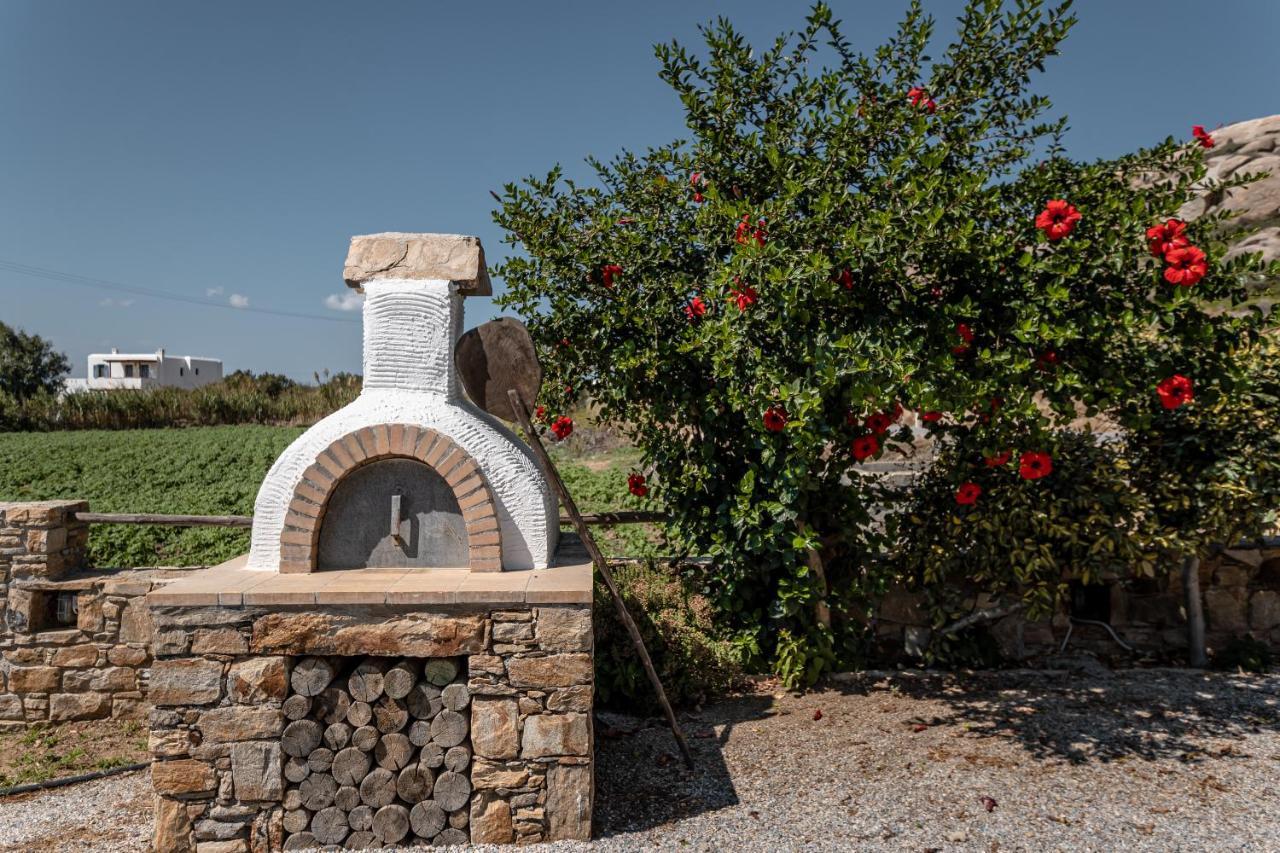 Aparthotel Zefyros Plaka (Naxos)