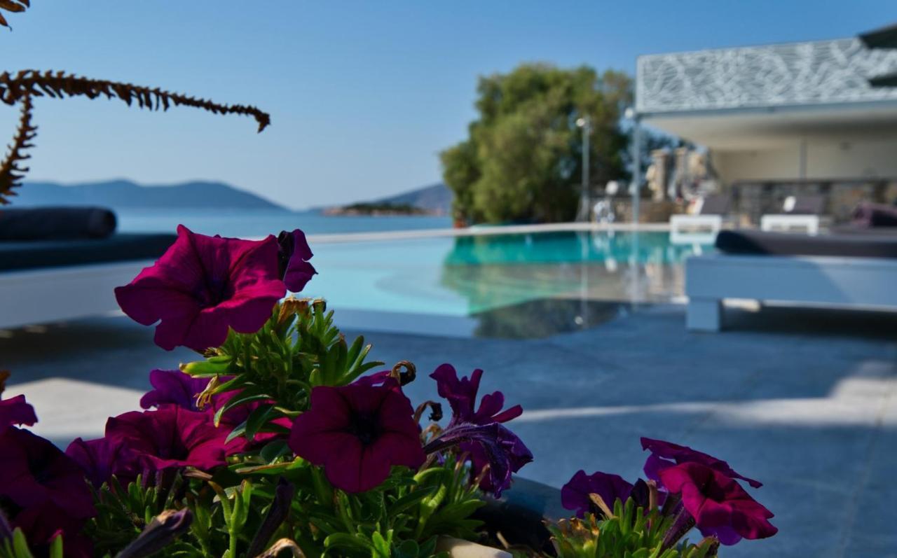 Dardiza Boutique Hotel *