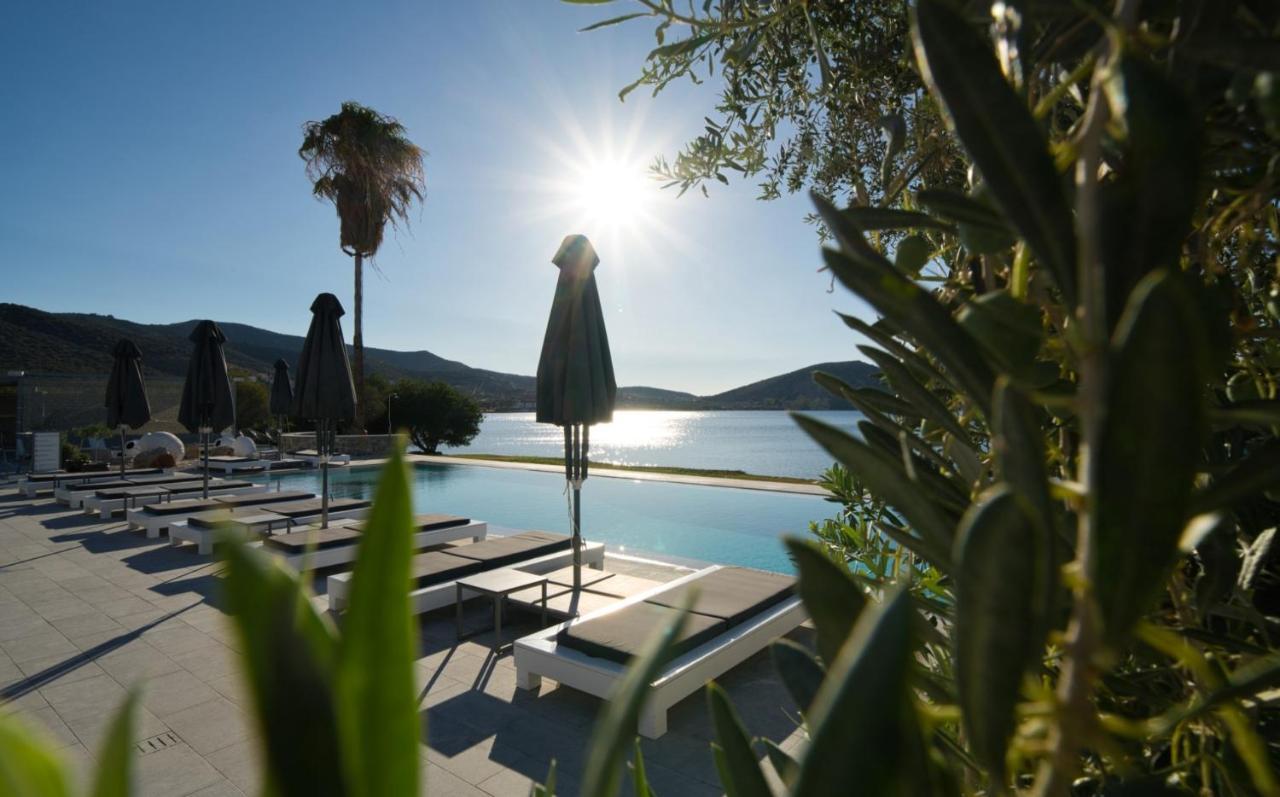 Hotel Dardiza Boutique