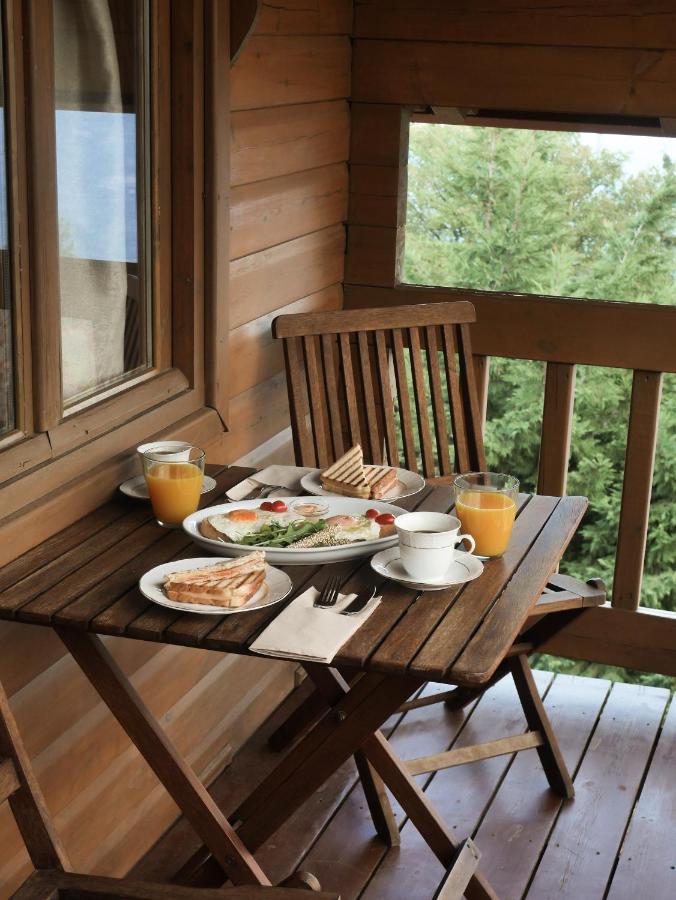 Guest house Dryades Synikia Mesi Trikalon