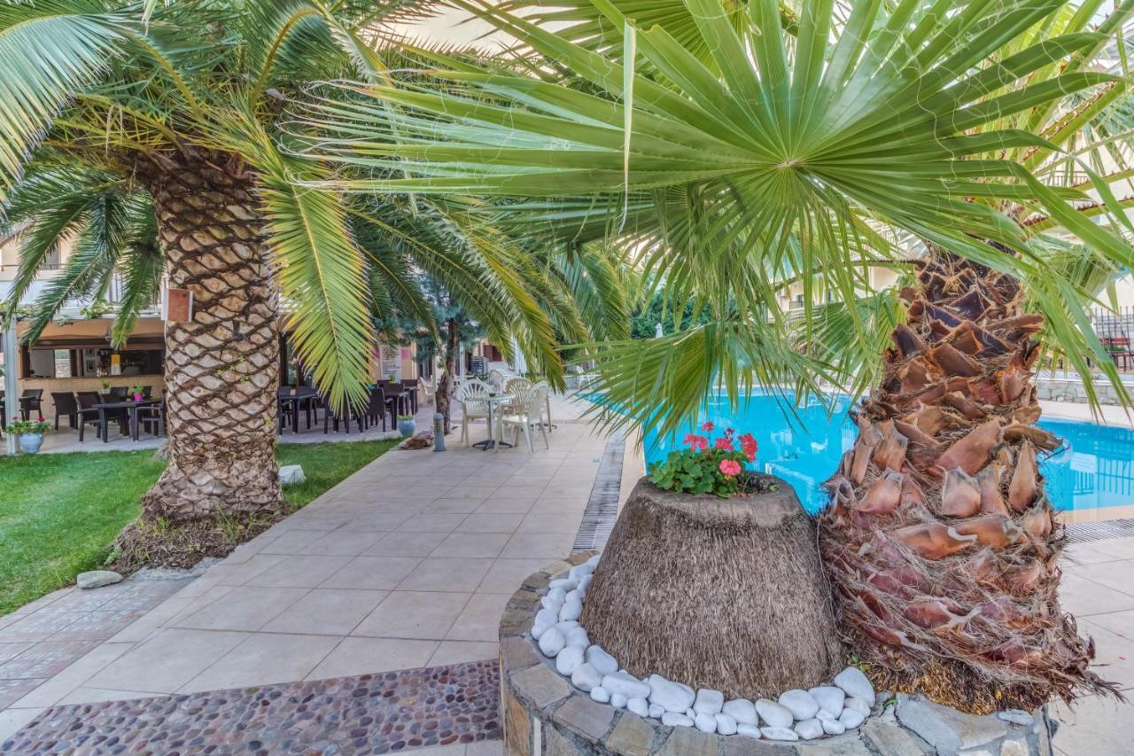 Pegasus-adult Friendly 3*