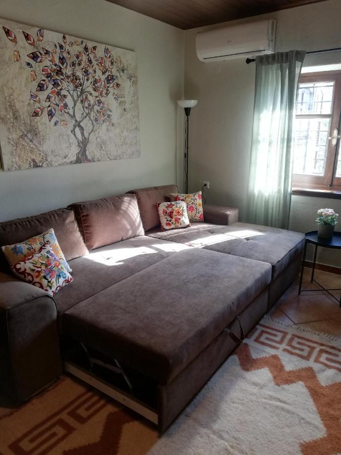 Endless View Apartment Makrinitsa