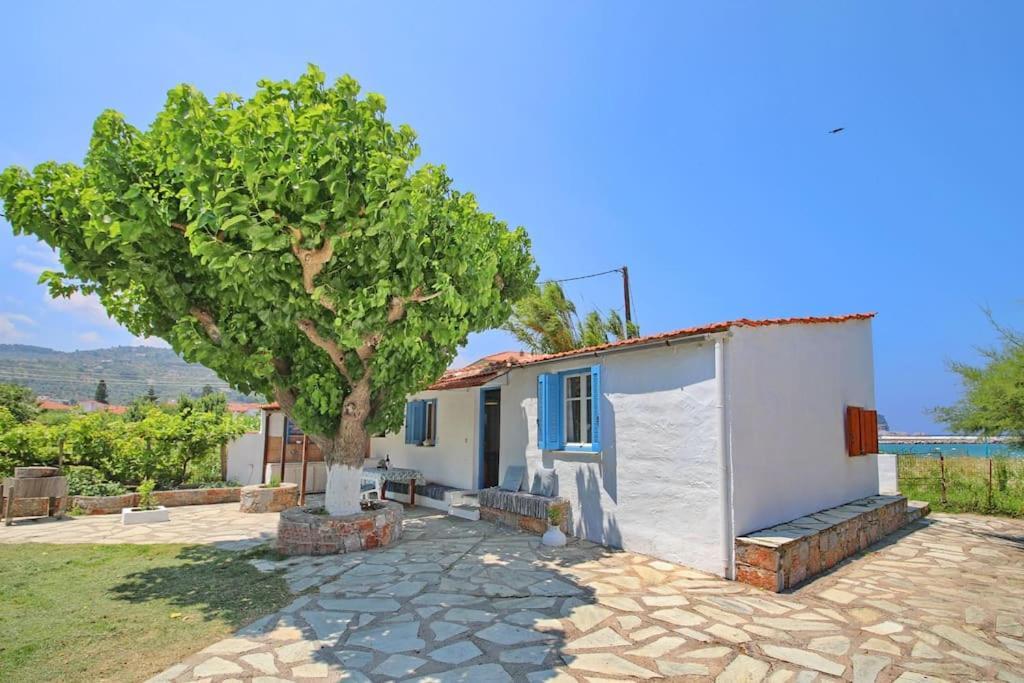 House * Skopelos Town