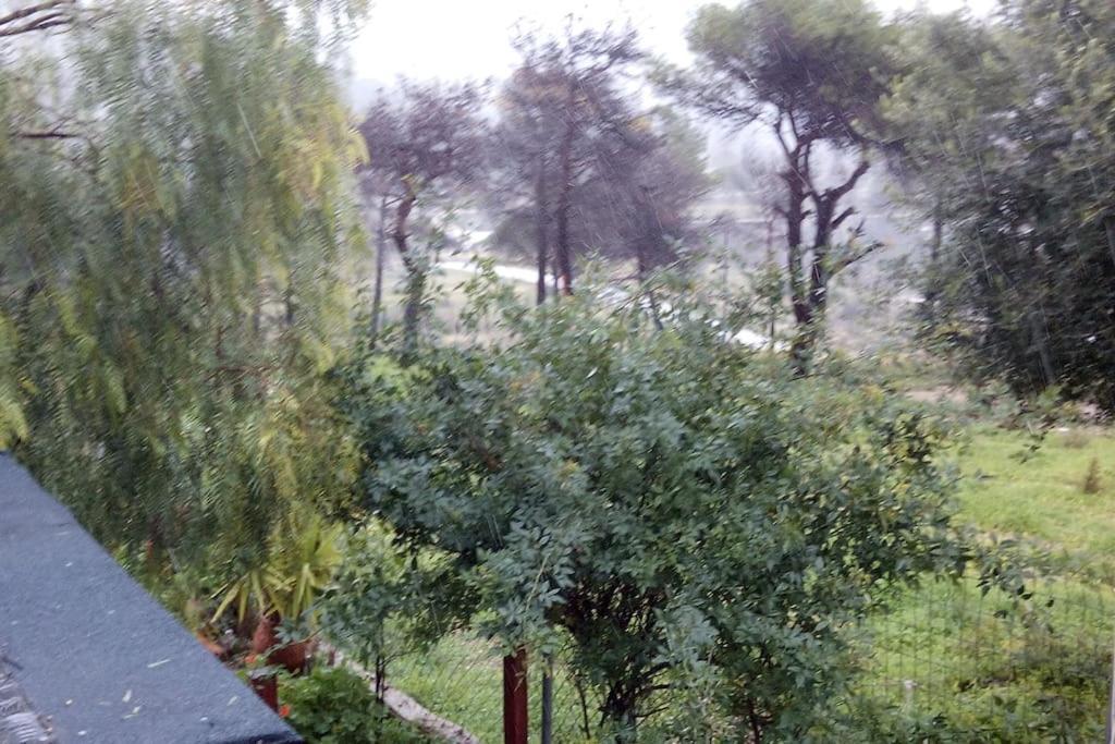 Marry's Holiday home Kinetta (Attica)